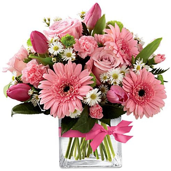 Delightful Love