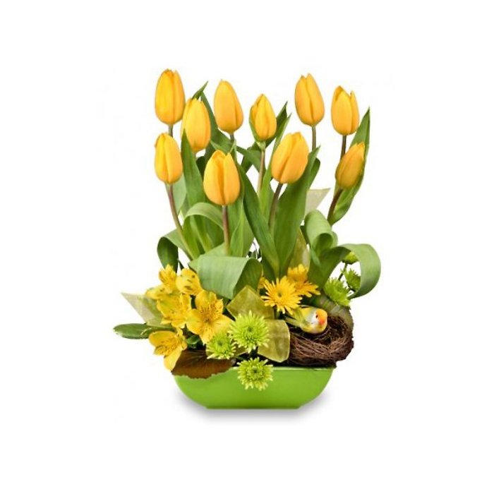 Spring has Sprung!