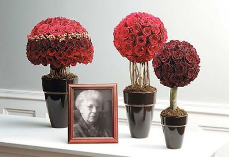 Rose Topiaries