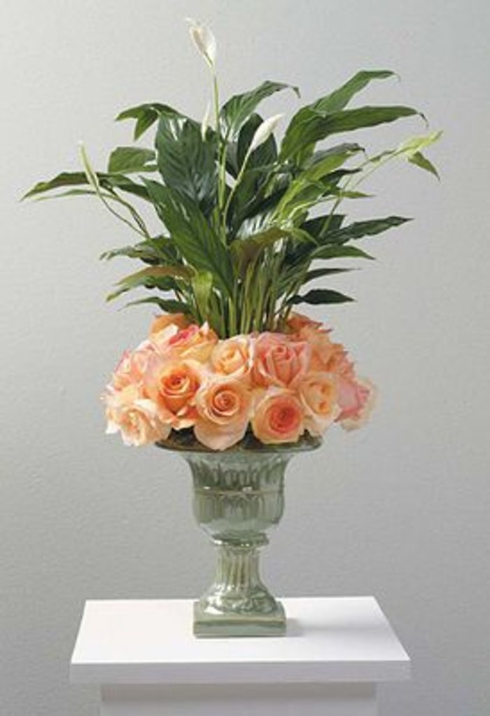 Peace Lily And Roses