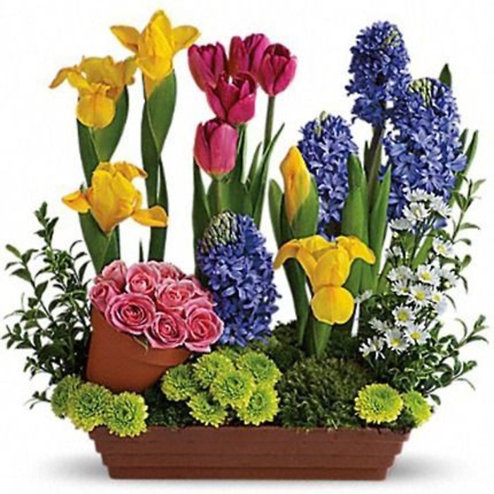 Spring Favorites
