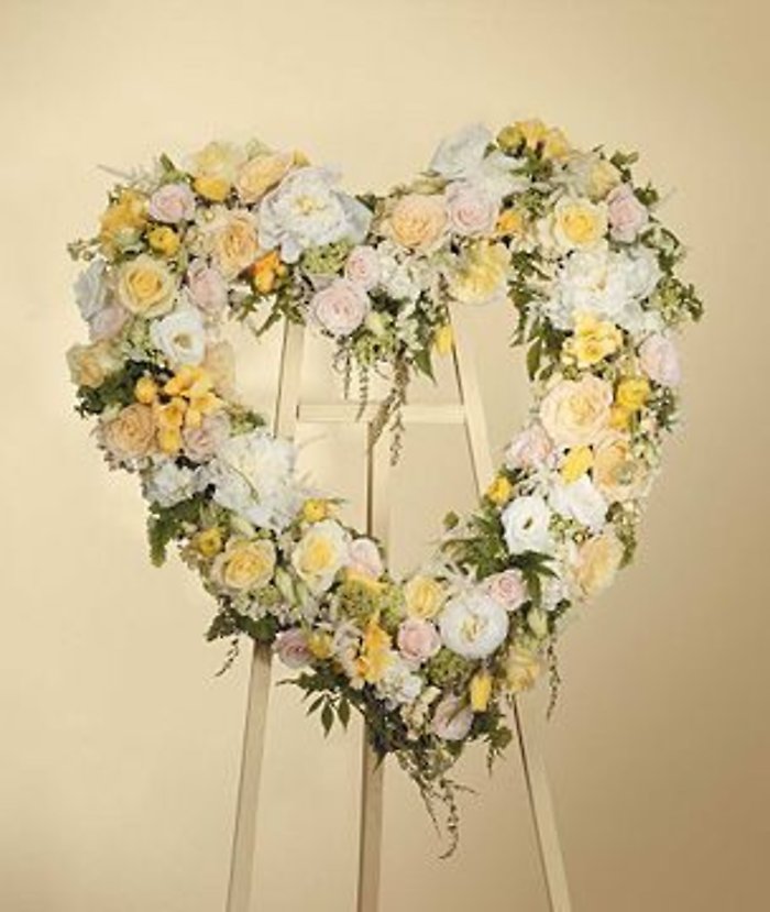 Open Heart